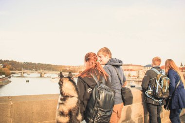 Husky köpek bir adam ve bir kız arkadaşı ile cadde boyunca hareket eder. Şehri yürüyerek. Şehir manzaraları. Güneş ışığı.