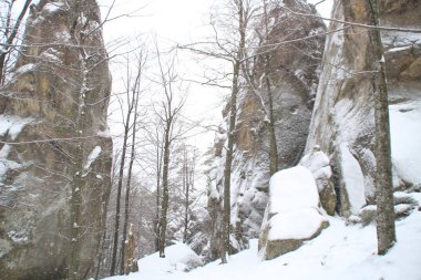 Kış kayalıklarla. Noel ağaçları ve köknar. Düşen kar Dağları ve Dovbush kayalar. Ukrayna