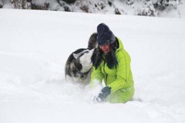 Ormanda bir kızla redaksiyon ikinci Direktörü Haski'nin çalış. Köpeği karda çalışır. Karda ormanda boğulmak. Husky seyahatler. Kar ve kış. Bir kadınla köpek oyunları