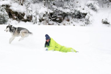 Ormanda bir kızla redaksiyon ikinci Direktörü Haski'nin çalış. Köpeği karda çalışır. Karda ormanda boğulmak. Husky seyahatler. Kar ve kış. Bir kadınla köpek oyunları