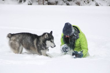 Ormanda bir kızla redaksiyon ikinci Direktörü Haski'nin çalış. Köpeği karda çalışır. Karda ormanda boğulmak. Husky seyahatler. Kar ve kış. Bir kadınla köpek oyunları