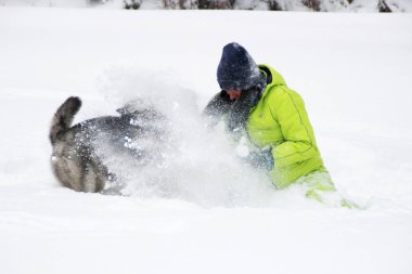 Ormanda bir kızla redaksiyon ikinci Direktörü Haski'nin çalış. Köpeği karda çalışır. Karda ormanda boğulmak. Husky seyahatler. Kar ve kış. Bir kadınla köpek oyunları