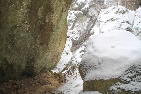 Falésias Inverno Árvores Natal Abeto Caindo Montanhas Neve Rochas Dovbush — Fotografia de Stock