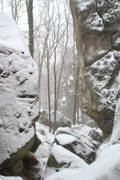 冬季悬崖 圣诞树和冷杉 降雪的雪山和鸽子山 乌克兰 — 图库照片
