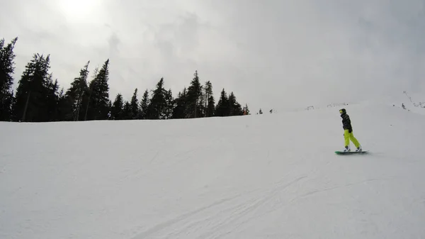 Holka Jede Snowboardu Horách Spousta Sněhu Karpaty Lyžařská Bunda Kalhoty — Stock fotografie