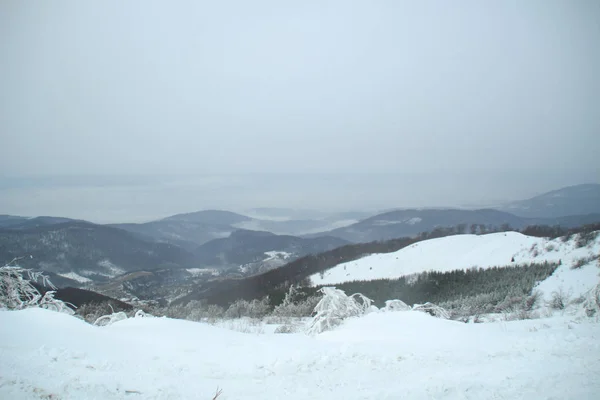 Tél Hegyekben Havas Lejtőkön Sípályák Svidovets Gerinc Dragobrat Ukrajna — Stock Fotó