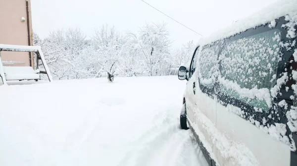 Calle Nevada Los Coches Están Cubiertos Nieve Las Peleas Están — Foto de Stock