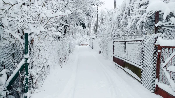 Besneeuwde Straat Gevechten Zijn Allemaal Sneeuw Ochtend Sneeuwval — Stockfoto