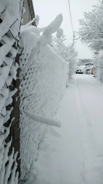 Calle Nevada Las Peleas Están Todas Nieve Mañana Después Nevada — Foto de Stock