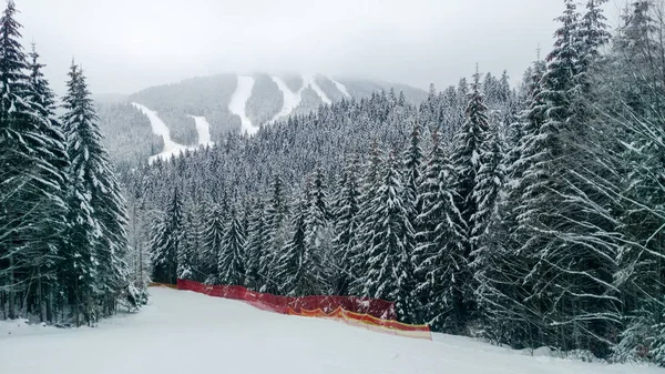 Pista Para Esquis Snowboards Declives Esqui Cárpatos Esquiadores Patinam Árvores — Fotografia de Stock