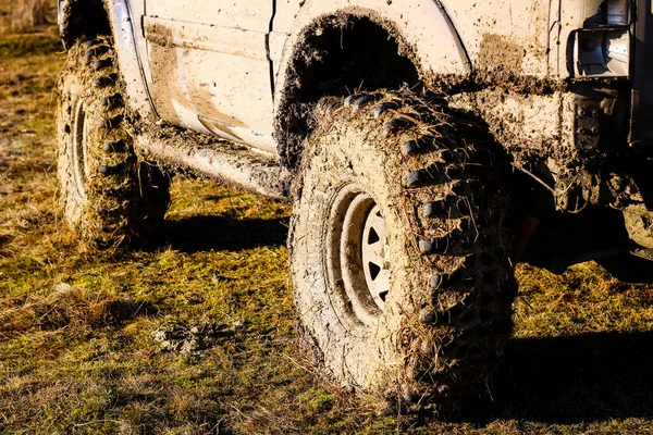 沼泽中的车轮轮胎 乌克兰越野比赛在卡米亚涅兹波迪勒斯基市 汽车上的沼泽和泥巴 生产大型水坑 — 图库照片