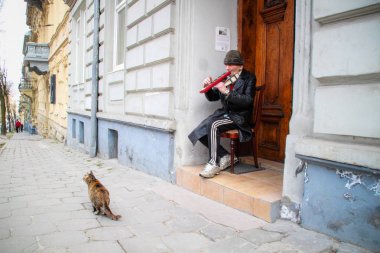 Eski bir müzisyen Lvov Caddesi üzerinde bir enstrüman oynar. UKRAİN