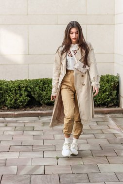 Şık bir kızın portre çekimi. Bej tonları. spr eğilimleri