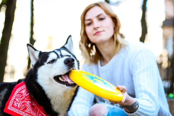 A menina brinca com um cachorro Husky em Frisbee. Cão preto e branco — Fotografia de Stock