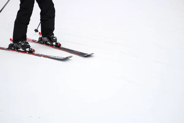 Kayakçı karda at sürüyor. Kar sıçramaları. Kar izi içinde — Stok fotoğraf