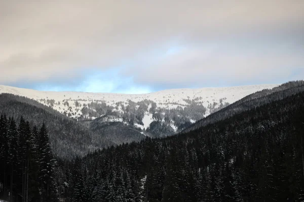 Les pistes de ski des Carpates. Ascenseurs près du Chris — Photo