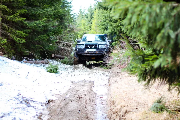 Auto prochází lesem. Offroad na džípu v karmě — Stock fotografie