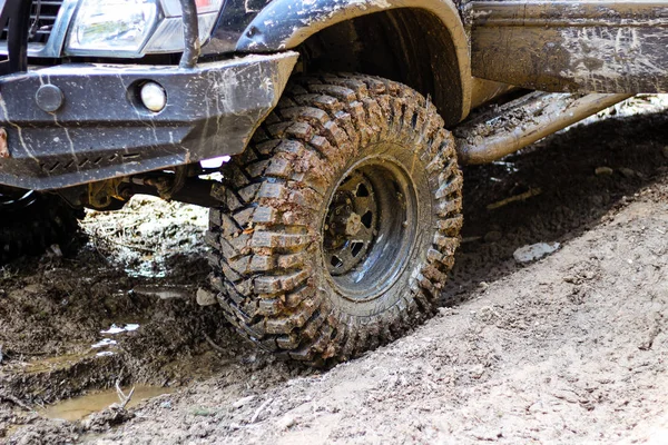 Kerekek a mocsárban. Offroad on Jeep in the Carpathian Mountains — Stock Fotó