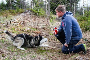 Dağlarda köpeği olan bir adam. Karpatlar Dağ gezisi. Sn