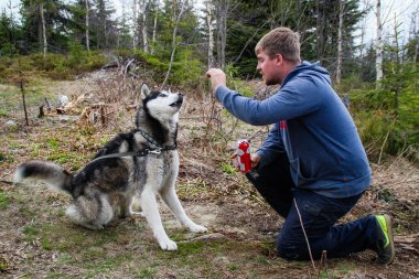 Dağlarda köpeği olan bir adam. Karpatlar Dağ gezisi. Sn