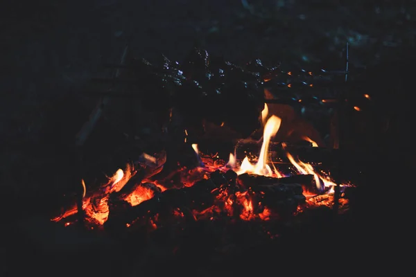 ไฟและถ่านหินในป่ามืดในเวลากลางคืน ปิกนิกและเดินป่าไป — ภาพถ่ายสต็อก