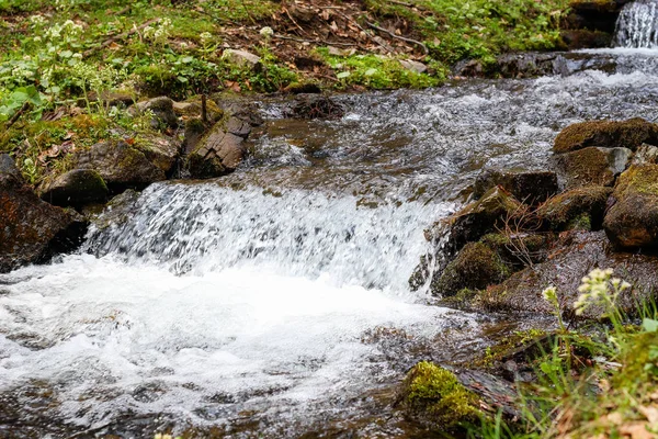 Lugares cerca del lago Synevir en los Cárpatos Ucranianos. Viajar —  Fotos de Stock