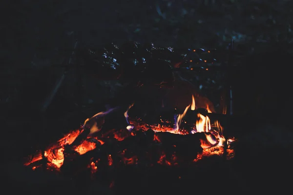 Feu et charbon dans une forêt sombre la nuit. Un pique-nique et une randonnée à — Photo