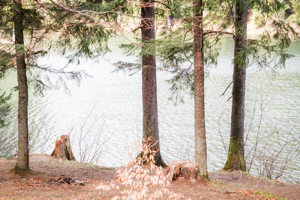 Locais perto do Lago Synevir nos Cárpatos Ucranianos. Viajar — Fotografia de Stock