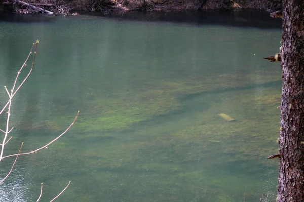 Lugares cerca del lago Synevir en los Cárpatos Ucranianos. Viajar —  Fotos de Stock