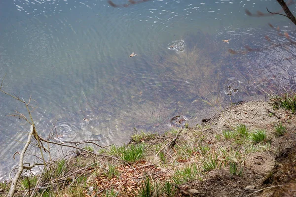 Lugares cerca del lago Synevir en los Cárpatos Ucranianos. Viajar —  Fotos de Stock