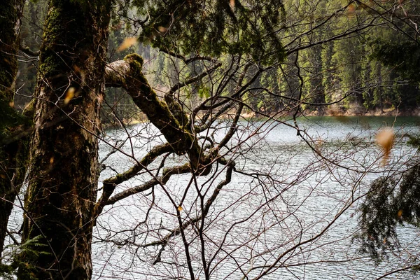 Lugares cerca del lago Synevir en los Cárpatos Ucranianos. Viajar —  Fotos de Stock