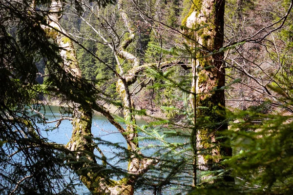 Locais perto do Lago Synevir nos Cárpatos Ucranianos. Viajar — Fotografia de Stock