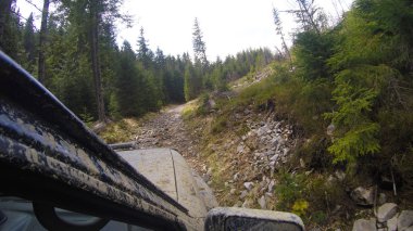 Araba penceresinden dağlara ve ormana bak. Offroa