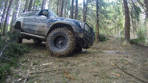 Offroad i ett träsk med bil i den gamla skogen. Ukrainska Carpathia — Stockfoto