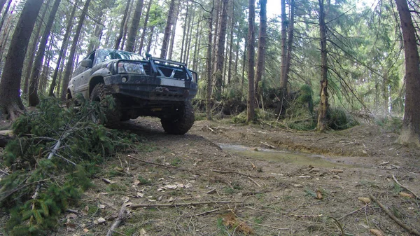 Eski ormanda araba ile bir bataklıkta offroad. Ukrayna Carpathia — Stok fotoğraf