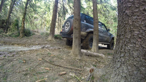 Offroad em um pântano de carro na floresta velha. Cárpatos ucranianos — Fotografia de Stock