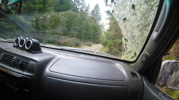 Araba penceresinden dağlara ve ormana bak. Offroa