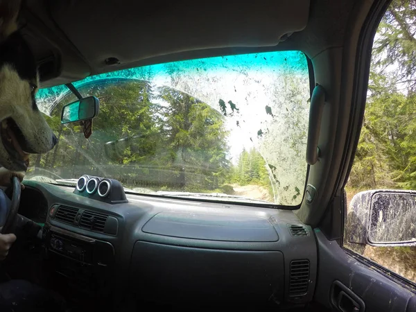 Vista desde la ventana del coche a las montañas y el bosque. Offroa. — Foto de Stock