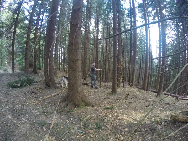 Un hombre viajando al viejo bosque de los Cárpatos Ucranianos . —  Fotos de Stock