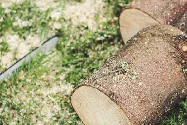 De man koteletten de oude boom in de bergen met een kettingzaag. Ukr — Stockfoto