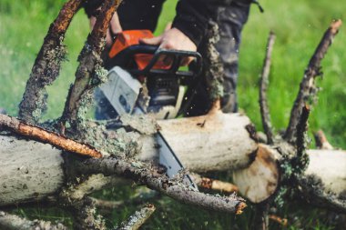 Adam dağlardaki eski ağacı elektrikli testereyle kesiyor. Ukr