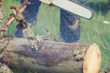 Adam dağlardaki eski ağacı elektrikli testereyle kesiyor. Ukr
