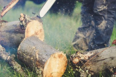 Adam dağlardaki eski ağacı elektrikli testereyle kesiyor. Ukr