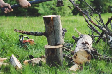 Adam dağlarda baltayla eski bir ağacı kesiyor. Ukra