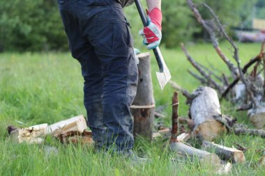 Adam dağlarda baltayla eski bir ağacı kesiyor. Ukra