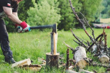 Adam dağlarda baltayla eski bir ağacı kesiyor. Ukra