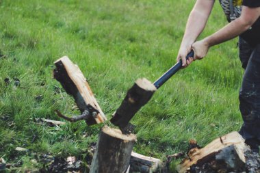 Adam dağlarda baltayla eski bir ağacı kesiyor. Ukra