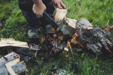 Adam dağlarda baltayla eski bir ağacı kesiyor. Ukra