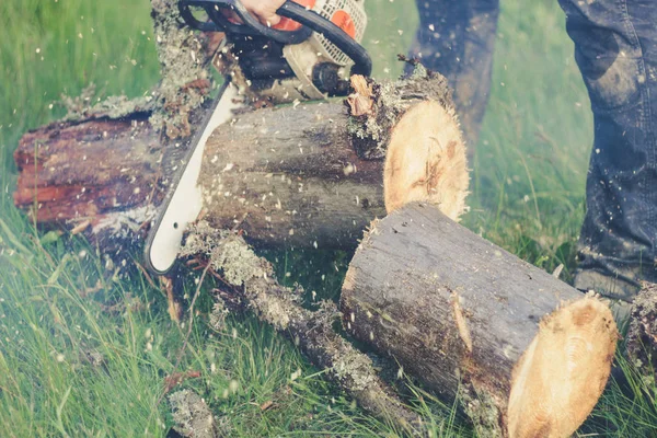 El tipo corta el viejo árbol en las montañas con una motosierra. Ukr — Foto de Stock