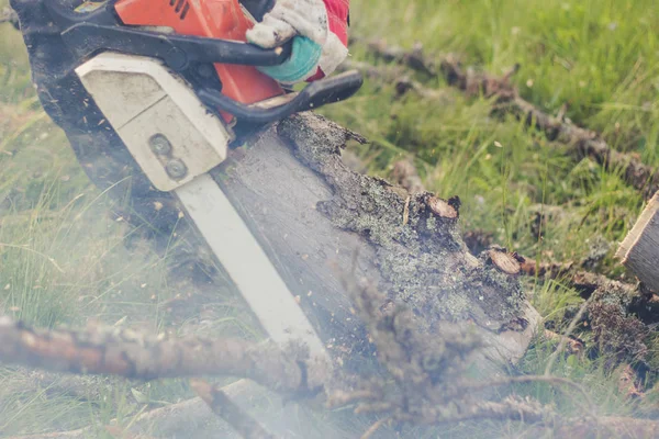 El tipo corta el viejo árbol en las montañas con una motosierra. Ukr — Foto de Stock